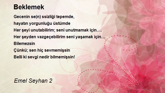 Emel Seyhan 2