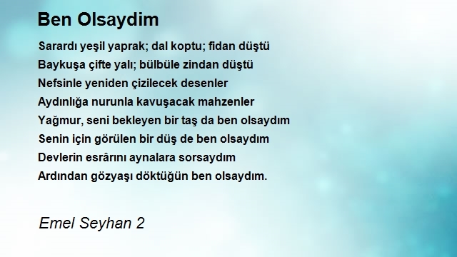 Emel Seyhan 2