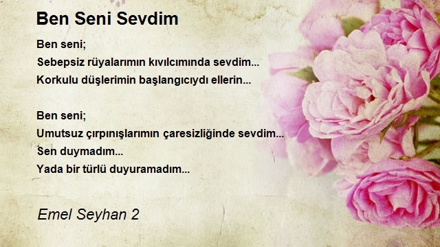 Emel Seyhan 2