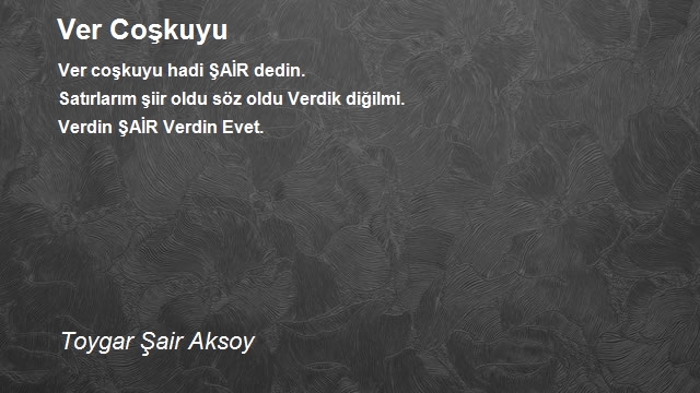 Toygar Şair Aksoy