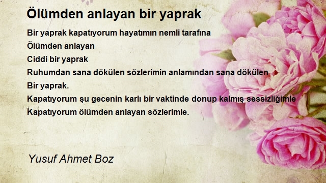 Yusuf Ahmet Boz