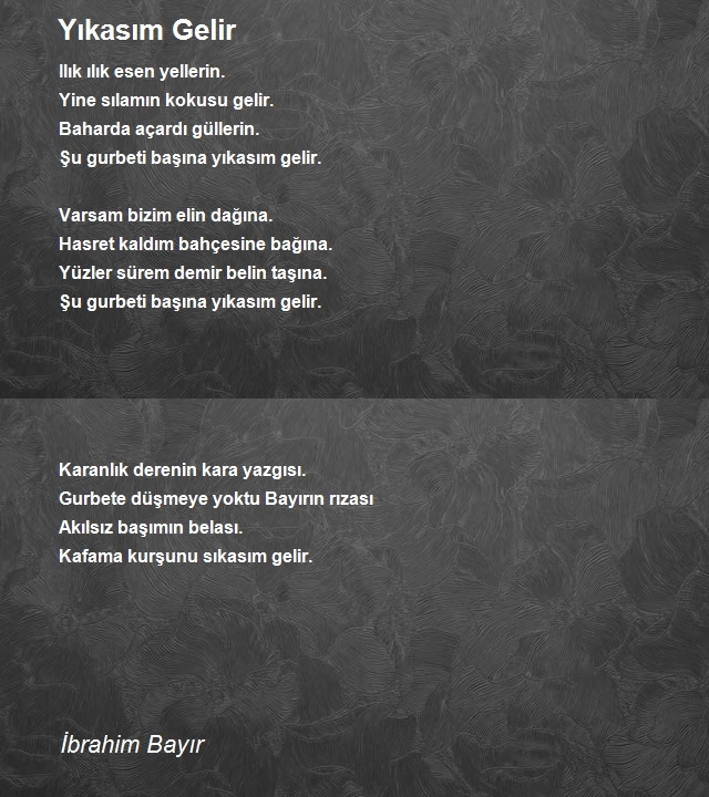 İbrahim Bayır