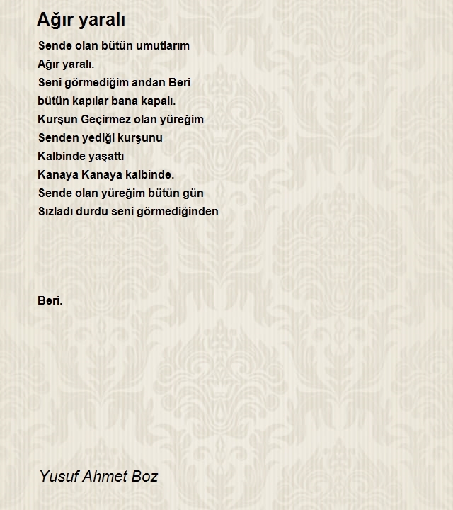 Yusuf Ahmet Boz