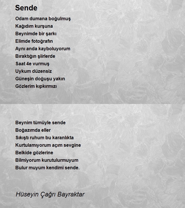 Hüseyin Çağrı Bayraktar