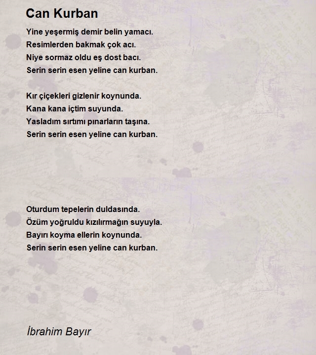 İbrahim Bayır