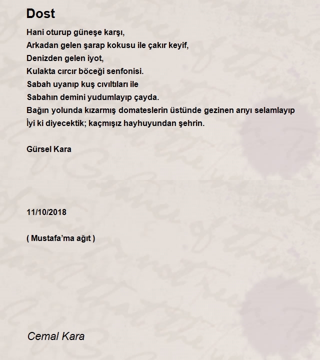 Cemal Kara