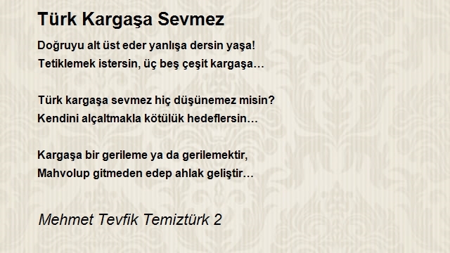 Mehmet Tevfik Temiztürk 2