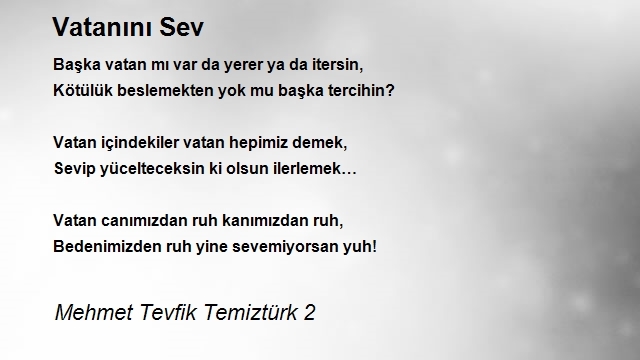 Mehmet Tevfik Temiztürk 2