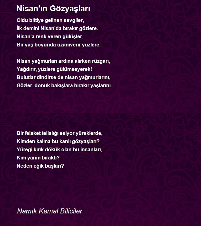 Namık Kemal Biliciler