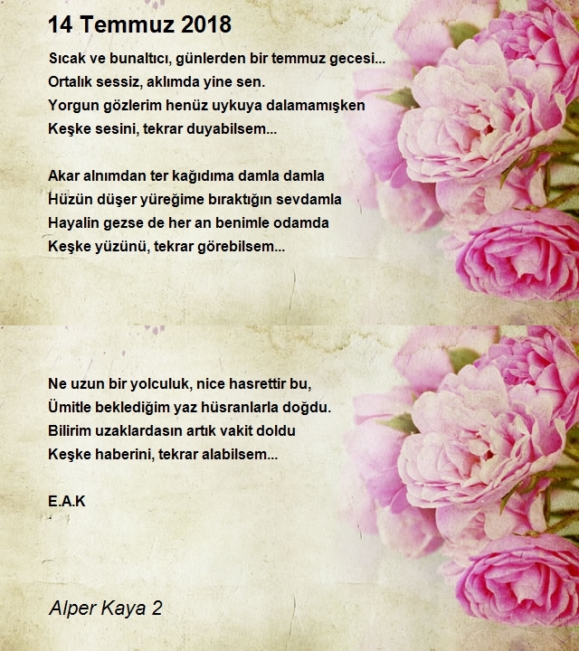 Alper Kaya 2