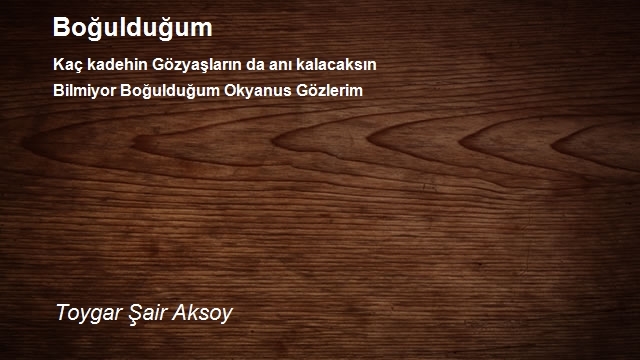 Toygar Şair Aksoy