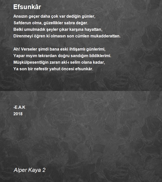 Alper Kaya 2