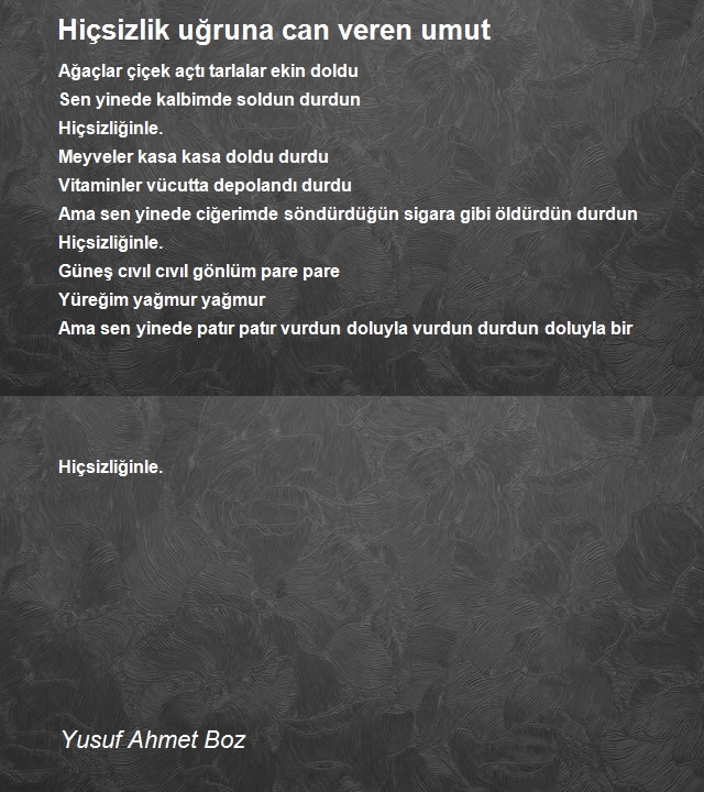 Yusuf Ahmet Boz