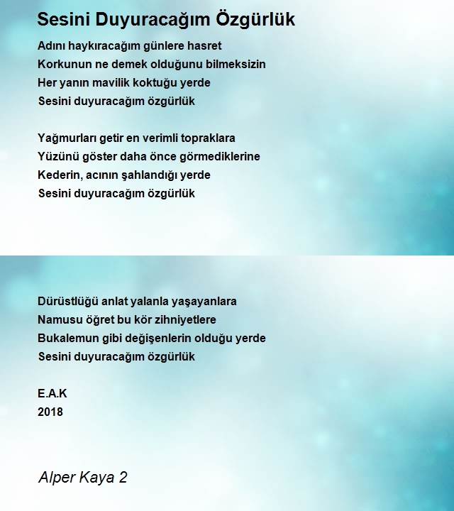 Alper Kaya 2