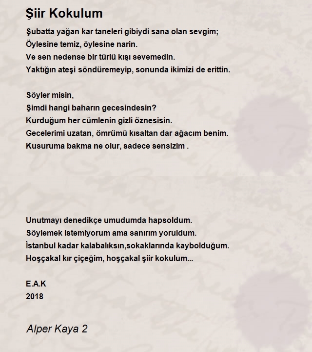 Alper Kaya 2