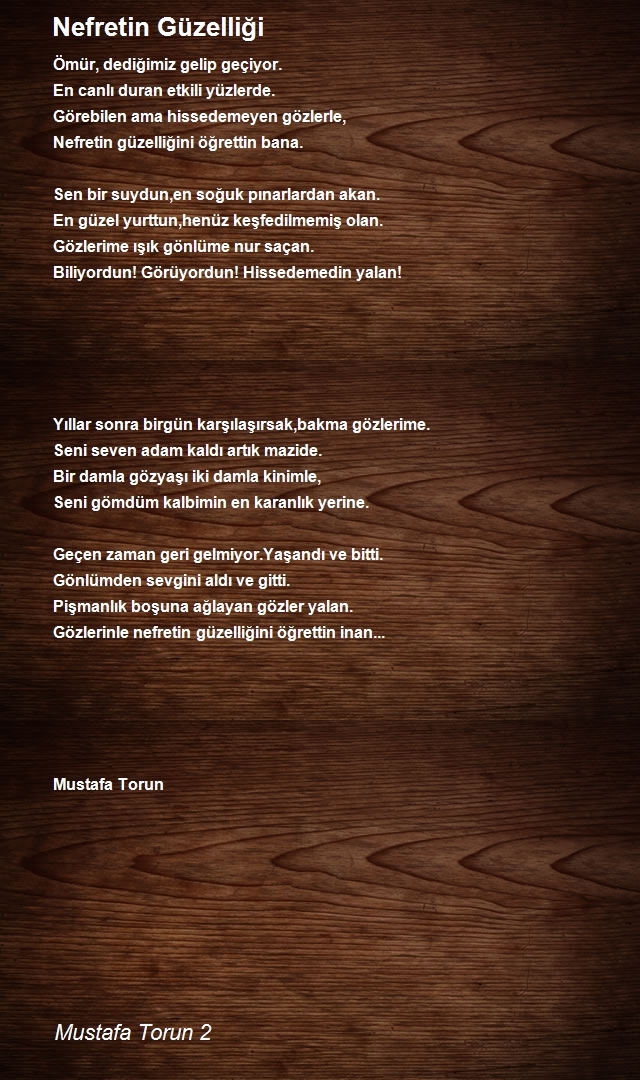 Mustafa Torun 2