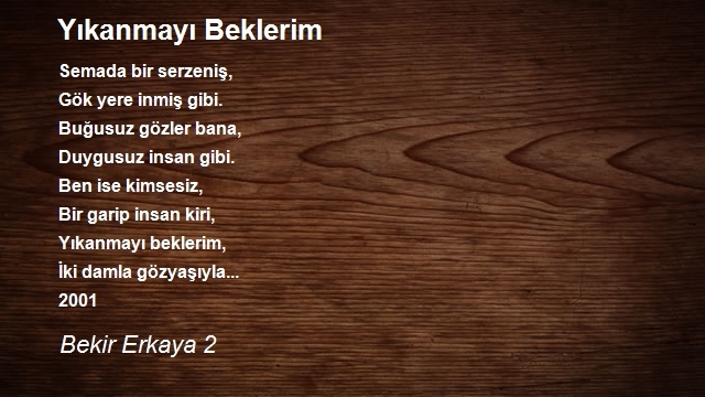 Bekir Erkaya 2