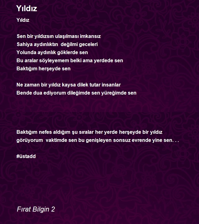 Fırat Bilgin 2