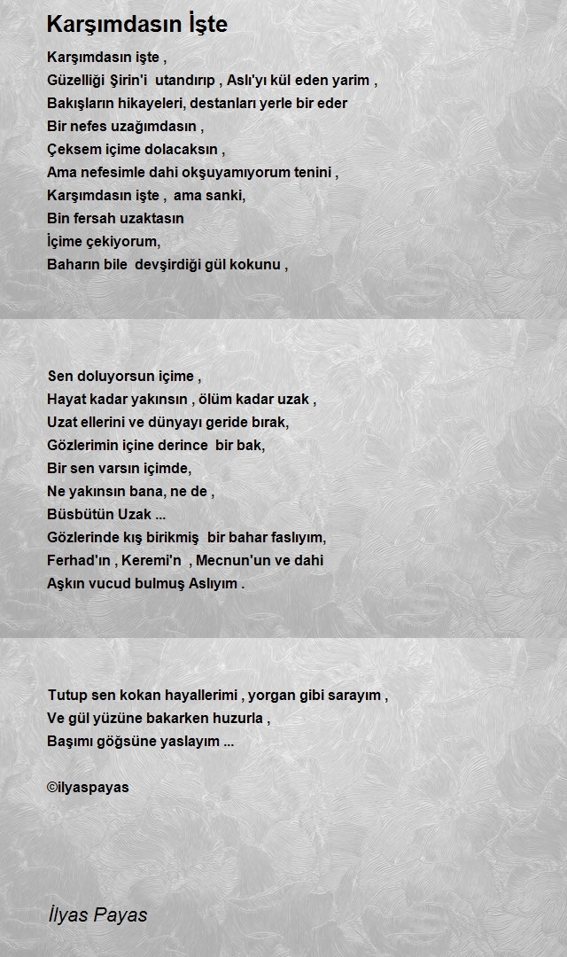 İlyas Payas