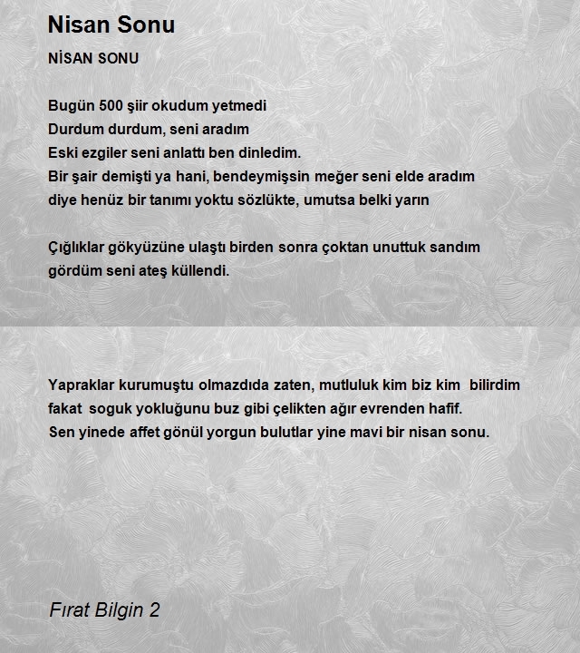 Fırat Bilgin 2