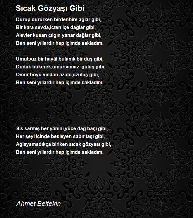 Ahmet Beltekin