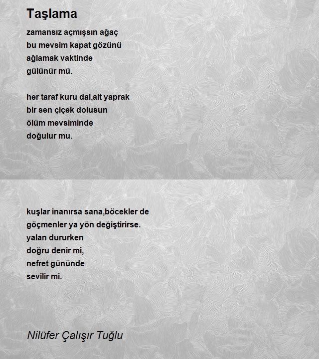 Nilüfer Çalışır Tuğlu