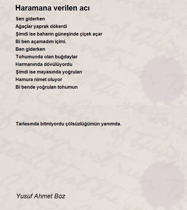 Yusuf Ahmet Boz