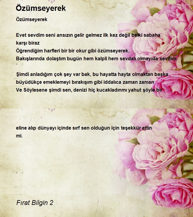 Fırat Bilgin 2