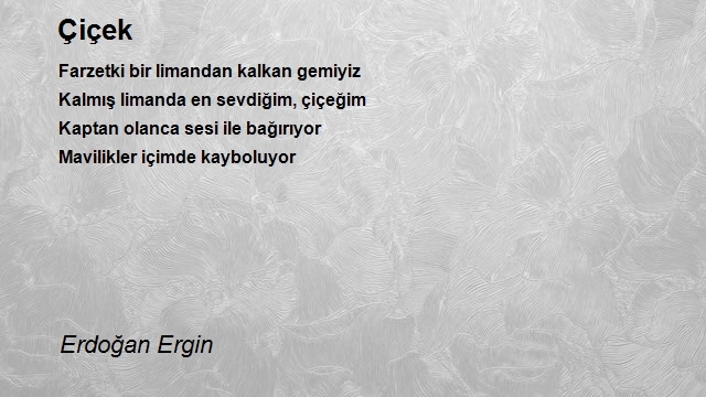 Erdoğan Ergin