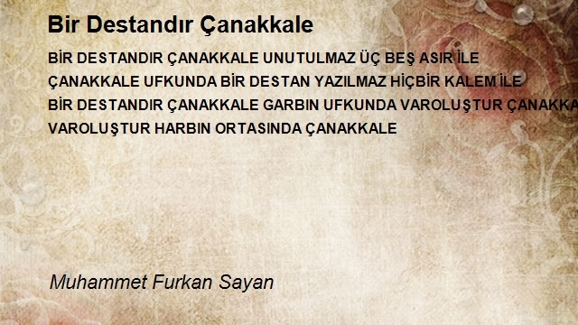 Muhammet Furkan Sayan