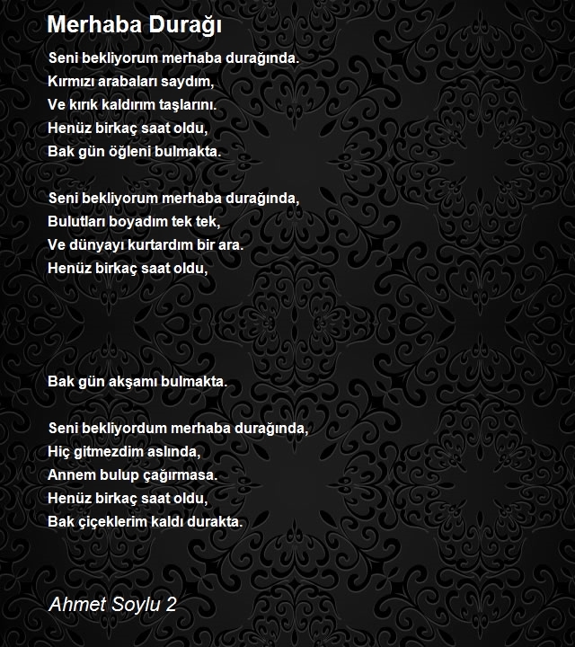 Ahmet Soylu 2