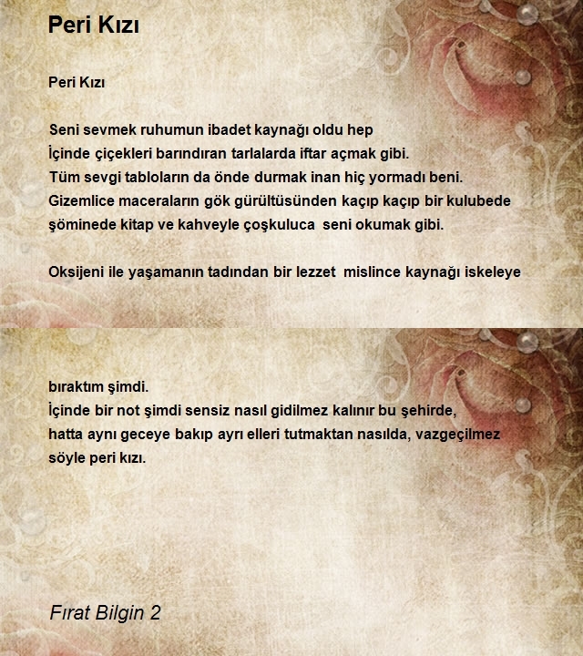 Fırat Bilgin 2