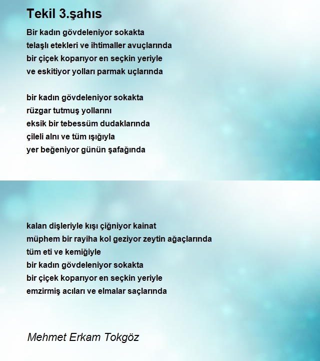 Mehmet Erkam Tokgöz