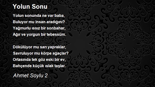 Ahmet Soylu 2