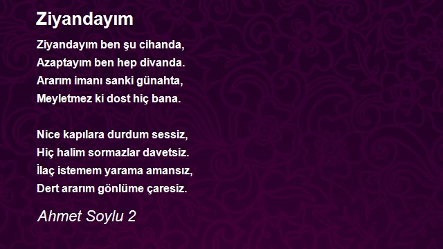 Ahmet Soylu 2