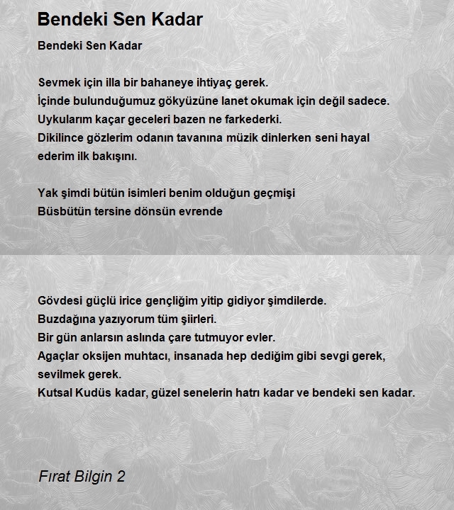 Fırat Bilgin 2