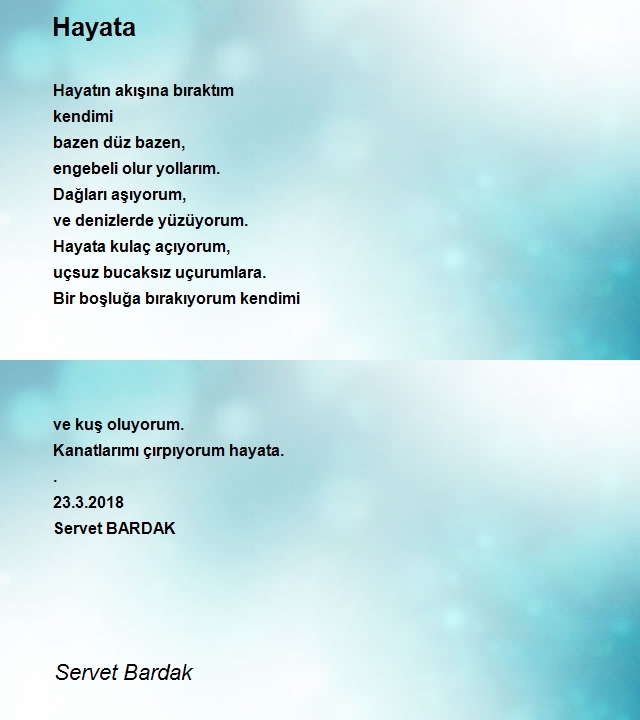 Servet Bardak