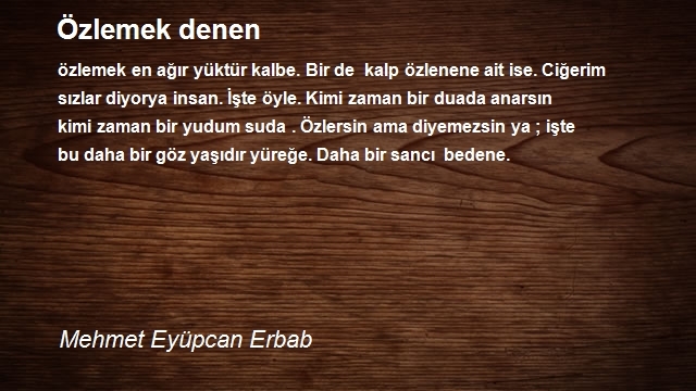 Mehmet Eyüpcan Erbab