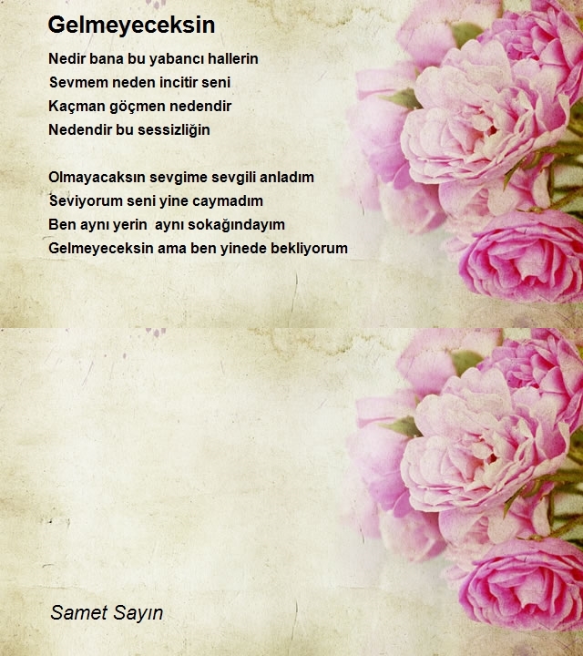 Samet Sayın