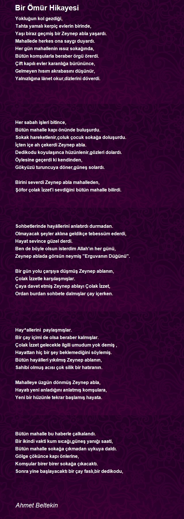 Ahmet Beltekin