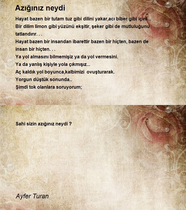 Ayfer Turan