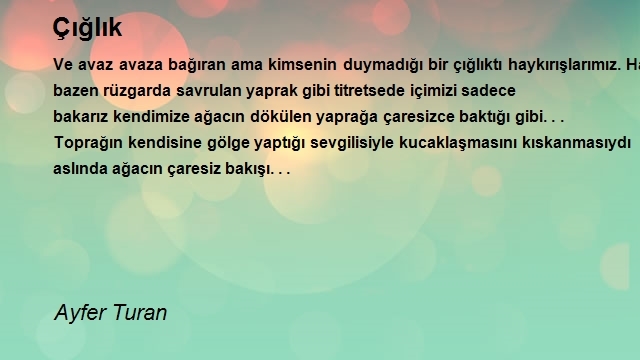 Ayfer Turan