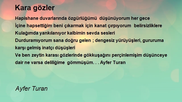 Ayfer Turan