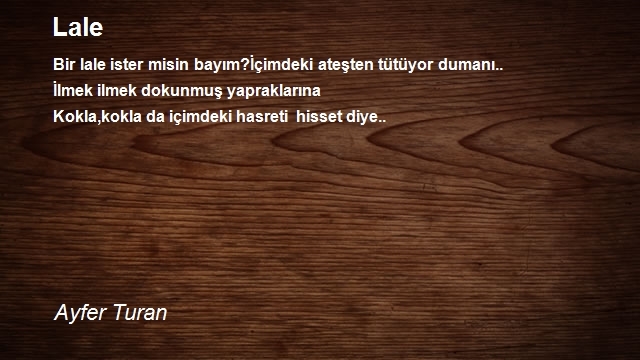 Ayfer Turan