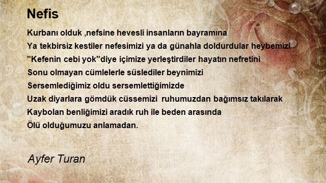 Ayfer Turan