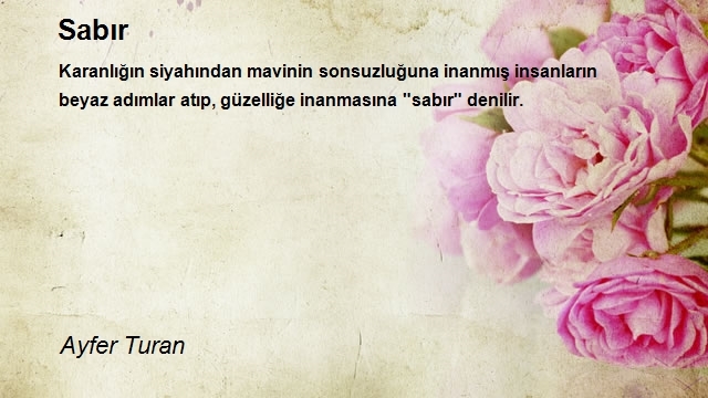 Ayfer Turan