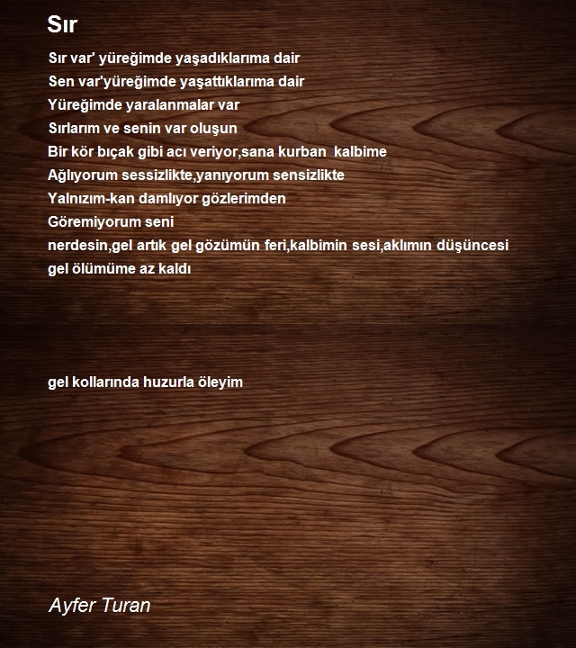 Ayfer Turan