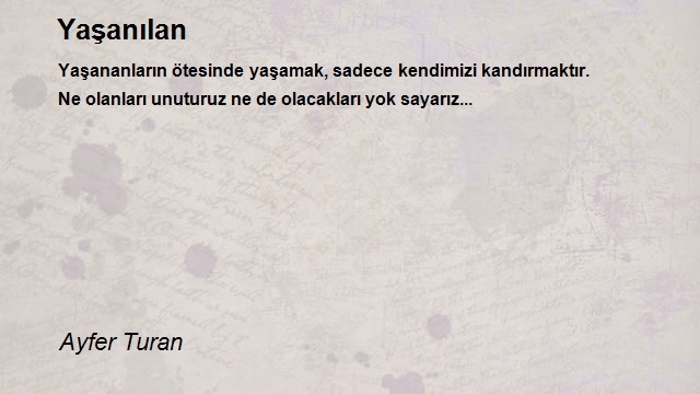 Ayfer Turan