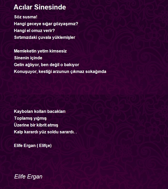 Elife Ergan