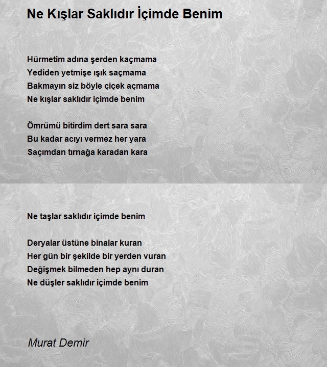 Murat Demir